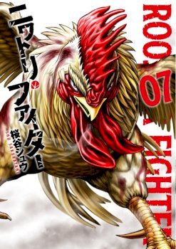 Rooster Fighter